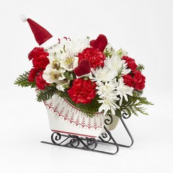 Dashing Through the Snow Bouquet from Victor Mathis Florist in Louisville, KY